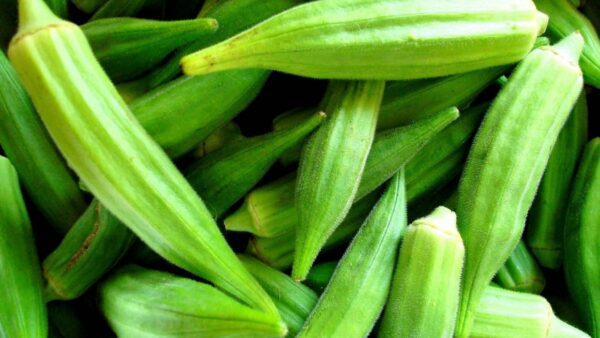 Okro