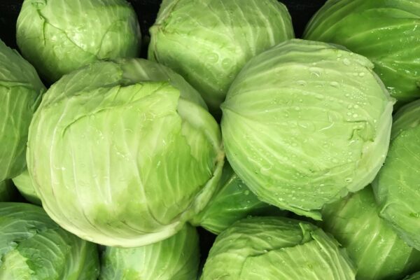 Cabbage - 1 bulk