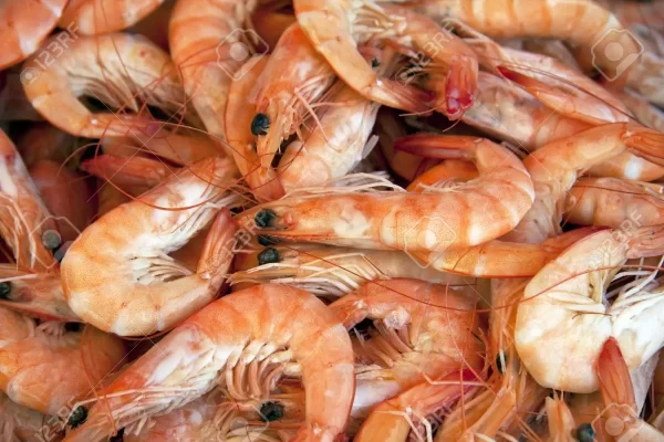 Prawn (Oporo) - min buy