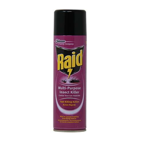 Raid insect deals killer